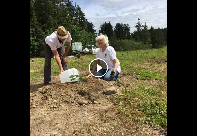 Planting the Way to a Sustainable Future
