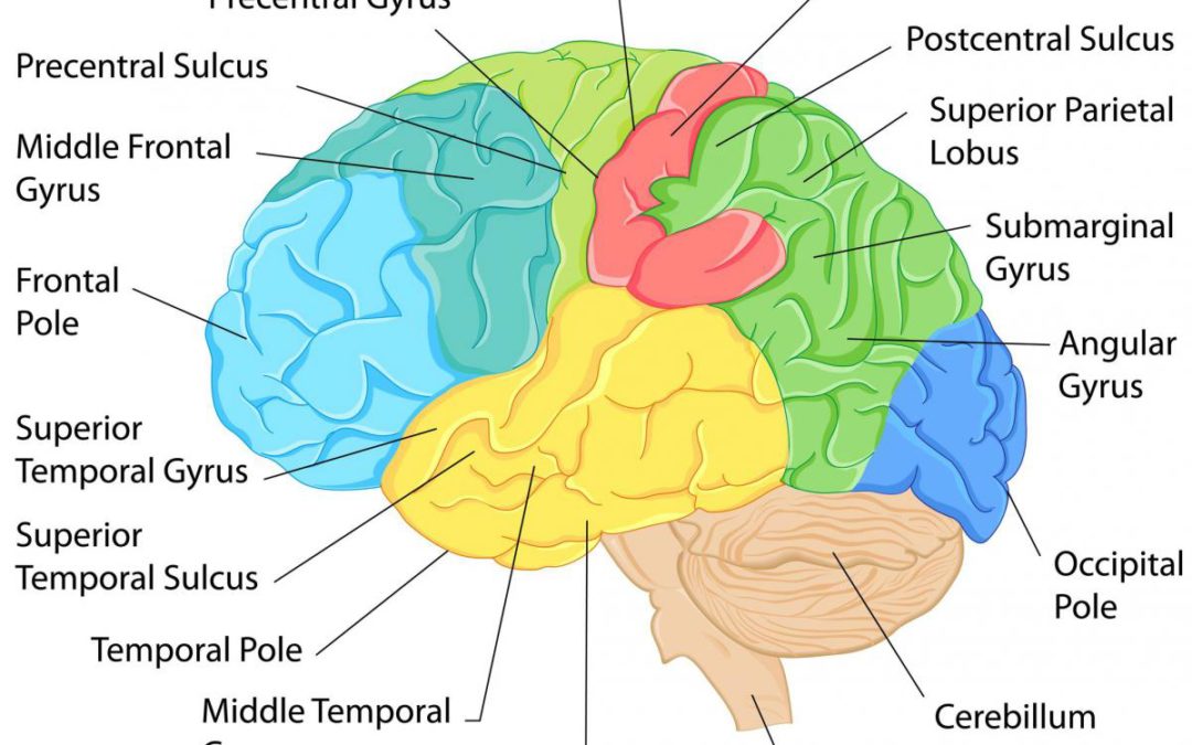 Pay Attention! Why It’s Not as Easy as You May Think