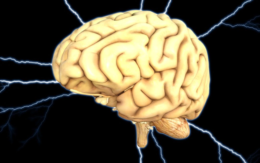 Exciting News with Scientific Learning