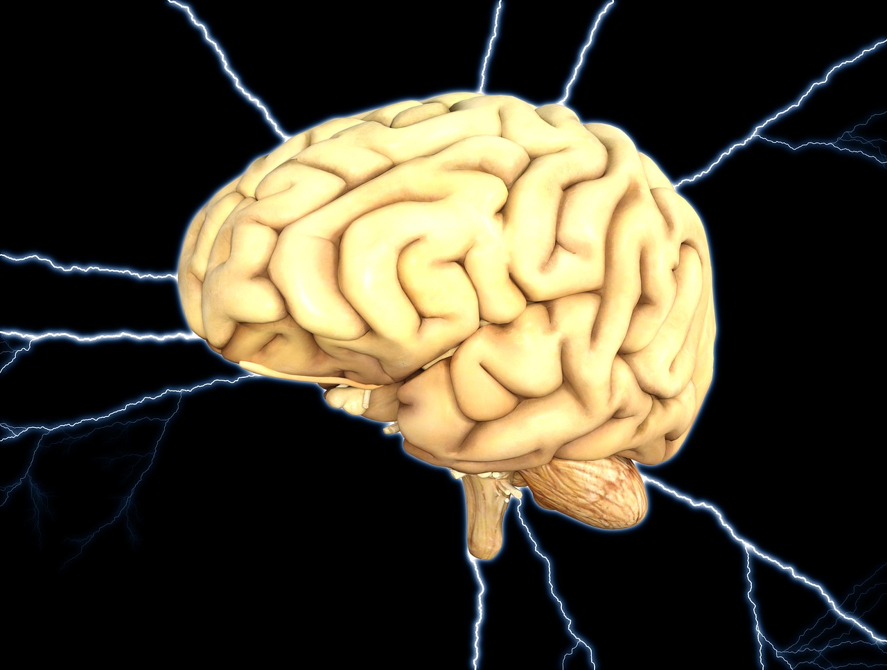 Exciting News with Scientific Learning