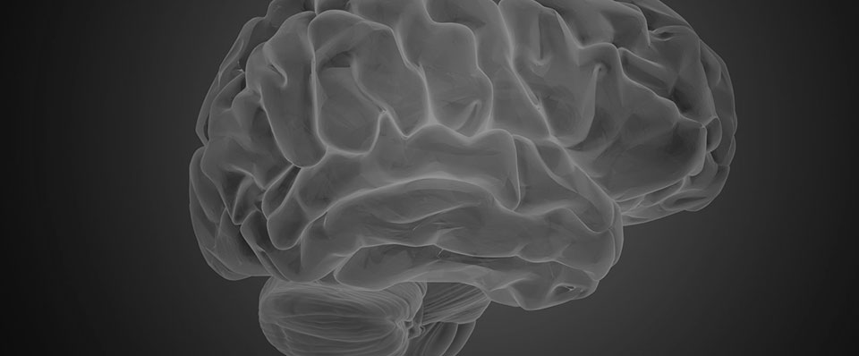 Read Their Minds: An Update on Dyslexia Research and Brain-Based Remediation